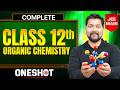 Complete ORGANIC CHEMISTRY Class 12th in One Shot || All Concepts \u0026 PYQ's || JEE Main