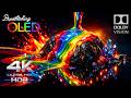 Breathtaking 4K OLED HDR Demo | Dolby Vision 4K HDR 240FPS (4K/8K Video TV)