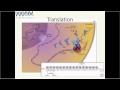 2015 NHGRI Short Course: Genetics and Genomics Primer (Part 2) - Robert Wildin