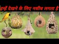 अंबानी का घर भी फैल हैं इन घोंसले  के सामने | 5 Most Beautiful Bird Nests In The World