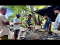 Wow!! Rural Villages Biggest Street Fish Markets Heart and Soul of Fishermen's Lives