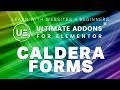 Caldera Forms Styler | Ultimate Addons for Elementor UAEL | Elementor Addons | Brainstorm