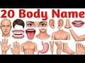 Learn 20 Body Parts Names for Kids with Pictures