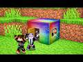 Minecraft But You Can Go Inside Avaritia Block