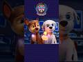 PAW Patrol Pups Get NEW Mighty Super Powers! #shorts