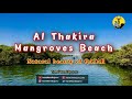 Al Thakira Mangroves End-Beach | Al Thakira Mangroves Forest | Mangroves Qatar | Explore Qatar | 4K