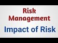 Risk management in software engineer