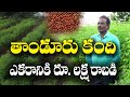 40 ఏళ్లుగా కంది సాగు చేస్తున్నా || ఎకరానికి 11 క్వింటాళ్లు || Redgram Cultivation || Narayana
