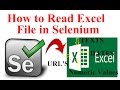 How to read excel file in Selenium Using Apache POI | Interview Question