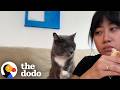 Woman In Denial Doesn't Want To Admit She's A Cat Mom | The Dodo