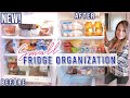 *NEW* SMALL FRIDGE ORGANIZATION IDEAS / HOW TO ORGANIZE YOUR FRIDGE / EXTREME BEFORE AND AFTER