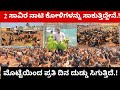 ನಾಟಿ ಕೋಳಿಗಳಿಂದ ಪ್ರತಿದಿನ ದುಡ್ಡು ಗಳಿಸುತ್ತಿರುವ  ಉದ್ಯಮಿ.! ಮೊಟ್ಟೆ ಮತ್ತು ಮಾಂಸದಿಂದ ಉತ್ತಮ ಆದಾಯವಿದೆ.! 