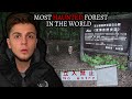 (TERRIFYING) Japan's Most Haunted Forest | Aokigahara 青木ヶ原 - Demon Caught On Camera
