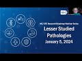 ME/CFS Research Roadmap Webinar - Lesser Studied Pathologies