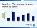 Is BPA Safe? An Endocrine Society Virtual News Conference