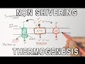Mechanism of Non-Shivering Thermogenesis