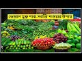 ভেজাল মুক্ত সবজি কেনার উপায়- দেখুন বিস্তারিত--