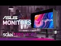 Colour Accurate Monitoring With ASUS ProArt Displays