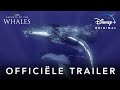 Secrets of the Whales | Officiële Trailer | Disney+ NL