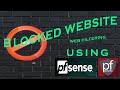 Blocked website using pfsense pfblockerng