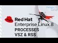 Linux Processes Memory Management - VSZ \u0026 RSS
