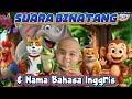 Animal Sounds \u0026 English Songs #childrensongs #animalsounds #english #kbeeb