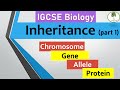 inheritance part (1), Chromosomes, genes, alleles. IGCSE biology