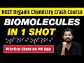 BIOMOLECULES in One Shot - All Concepts, Tricks \u0026 PYQs | Class 12 | NEET