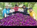 BRINJAL CURRY | Eggplant Recipe Cooking Our In Village | Eggplant Recipes | Vegetarian Recipes