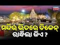 ମନ୍ଦିରରେ ମଦ ମାଂସର ଆସର! Alcohol \u0026 Chicken Feast Inside Samaleswari Temple Premises