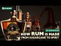 HOW RUM IS MADE - From Sugarcane to Spirit - 3D Animation