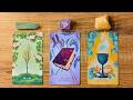 YOUR LIFE 3 MONTHS FROM NOW! 🌳📖🏆 Pick A Card 🔮✨ Timeless Tarot Reading