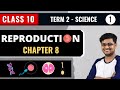 Reproduction 01 | Class 10 | Science Term 2 | Smiley Sir #term2 #Reproduction