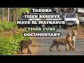 Tiger Reserve | Tiger cubs in Tadoba | India | Hindi Documentary | Maharashtra