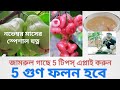 নভেম্বর মাসের এই পাঁচটি টিপস#পাঁচ গুণ ফলন আনবে#জামরুল গাছের বিশেষ পরিচর্যা# easy water Apple#