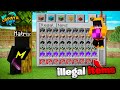 I Collected Every Rare Items In This Minecraft SMP | LAPATA SMP FULL STORY
