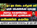 ദിവസം ഒരില മതി ഷുഗറായാലും കൊളെസ്ട്രോൾ ആയാലും ശരീരത്തിൽ നിന്ന് പുറത്താക്കാൻ | cholestrol malayalam