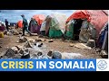 Somalia’s Deepening Crisis: Drought and Insurgency Force Thousands to Flee