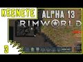 Let's Play Rimworld Alpha 13 Gameplay - Episode 3 - Rooms