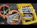 Flying Reptile vs. Colossal Croc: Battle for the Baddest | Animal Showdown