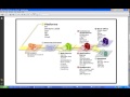 Software QA - HP QC, LR, QTP Training DEMO VIDEO 2013