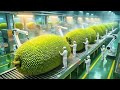 Inside the 50,000 LB Jackfruit Plant – The HYPNOTIC Shredding of Modern Vegan Pork Production