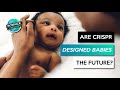 Are CRISPR Designer Babies the Future?