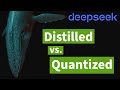 DeepSeek R1: Distilled \u0026 Quantized Models Explained