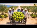 What Happens When You Grow Coconuts in the Desert? Desert Farming Experiment Reveals Shocking Result