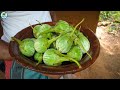 Village Eggplant Cooking | Village Recipe | Healthy Foods | Cooking In Village
