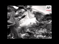 RUSSIAN MIGS COLLIDE IN GERMANY - NO SOUND