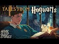 Sleep to 6 Hours of Hogwarts Tales | Cozy Harry Potter Bedtime Stories with Rain Ambience
