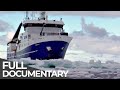 Expedition Antarctica   Free Documentary