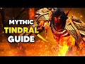 MYTHIC TINDRAL SAGESWIFT Raid Boss Guide | Amirdrassil the Dream's Hope Dragonflight Season 3